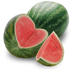 melon-watermelon
